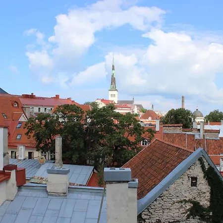 Viru Backpackers تالين