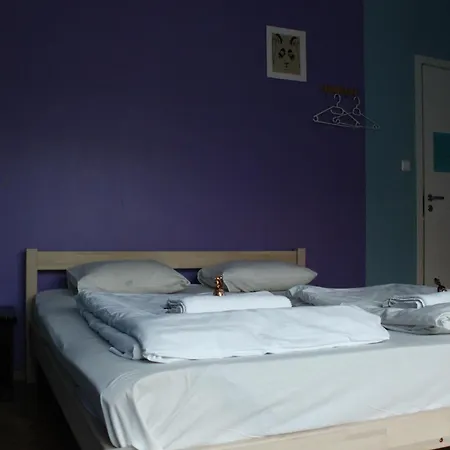 بيت شباب Viru Backpackers