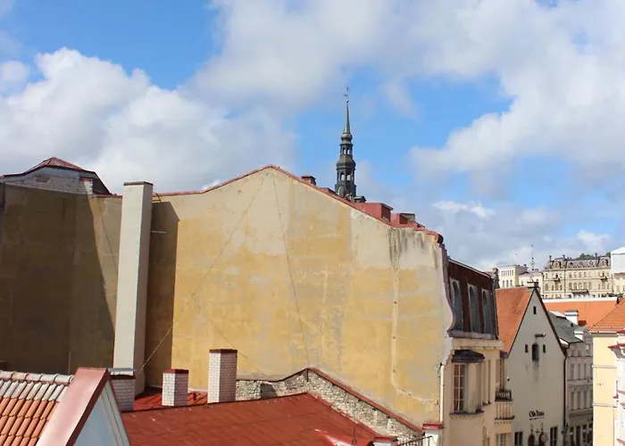 Hostel Viru Backpackers