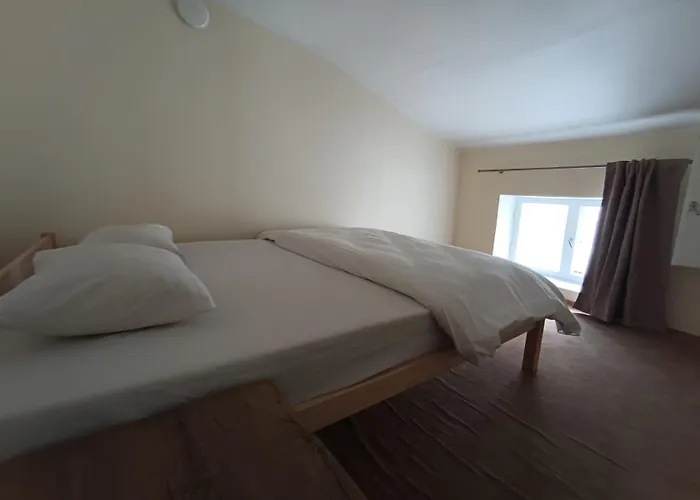 Viru Backpackers Hostel