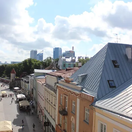 Viru Backpackers Хостел