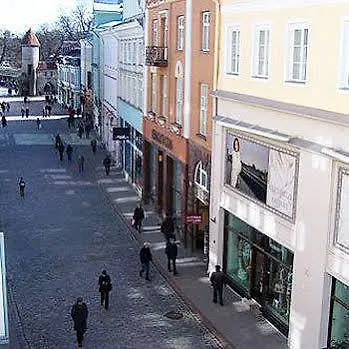 Viru Backpackers Хостел *