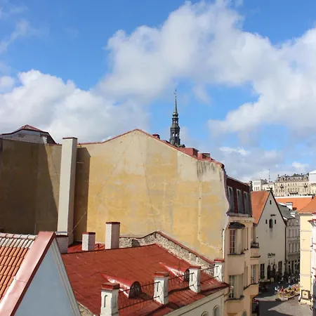 Hostel Viru Backpackers