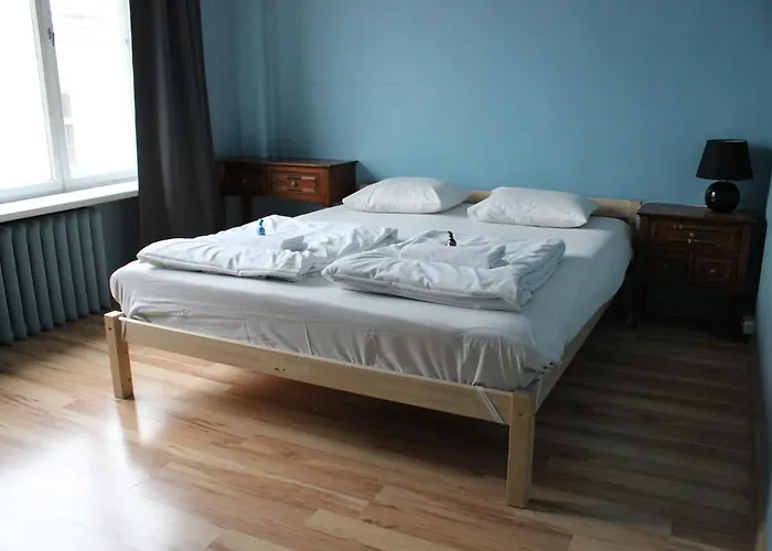 Hostal Viru Backpackers *